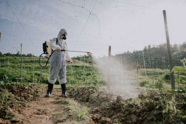 Best Best Pest Control Companies  in Tolleson, AZ